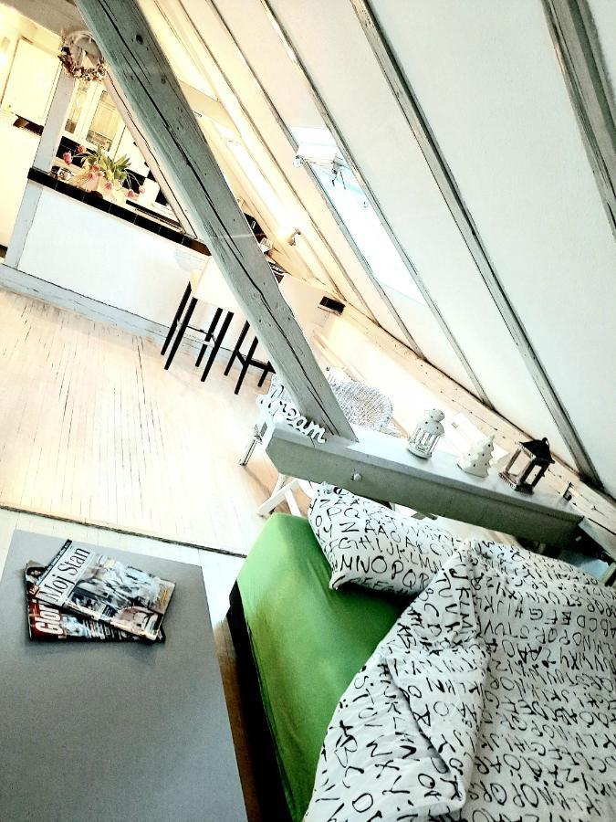 Deki & Kolet Apartment Belgrade Luaran gambar