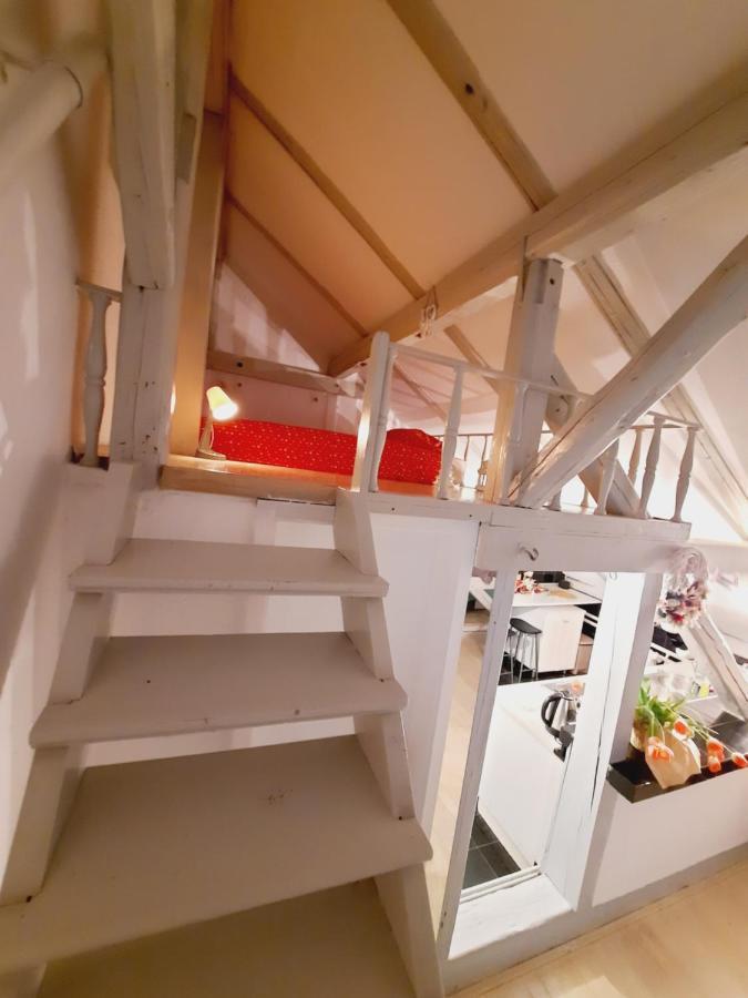 Deki & Kolet Apartment Belgrade Luaran gambar