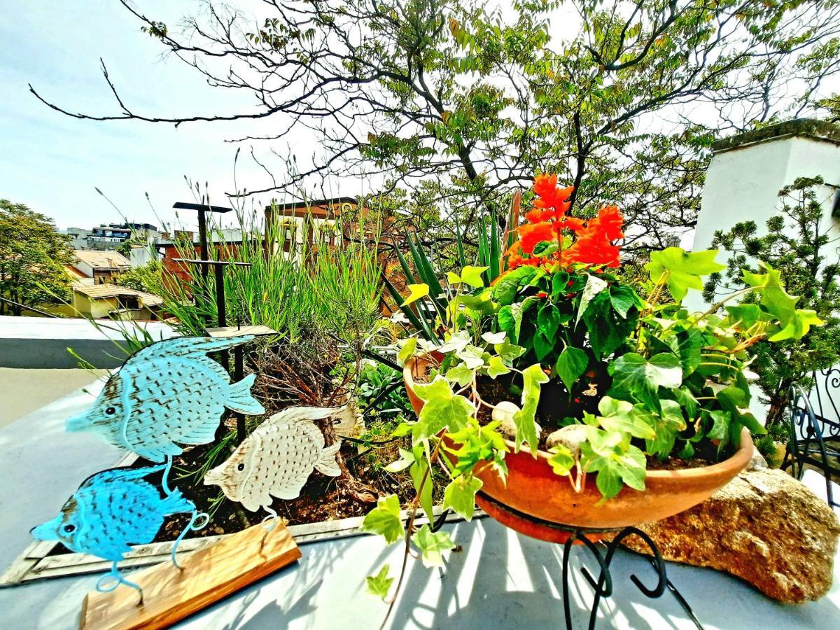 Deki & Kolet Apartment Belgrade Luaran gambar