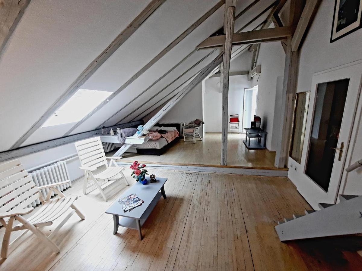 Deki & Kolet Apartment Belgrade Luaran gambar