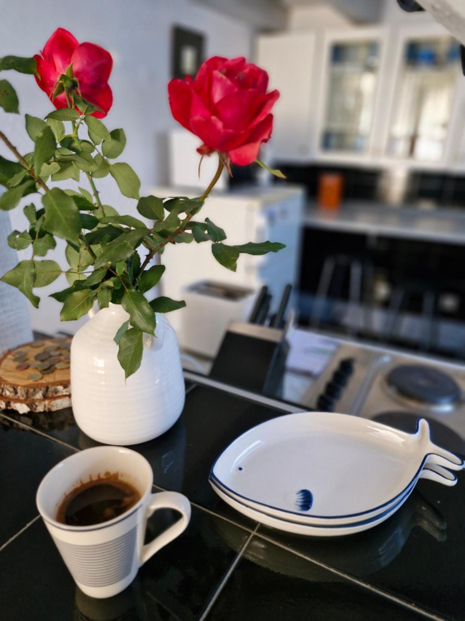Deki & Kolet Apartment Belgrade Luaran gambar