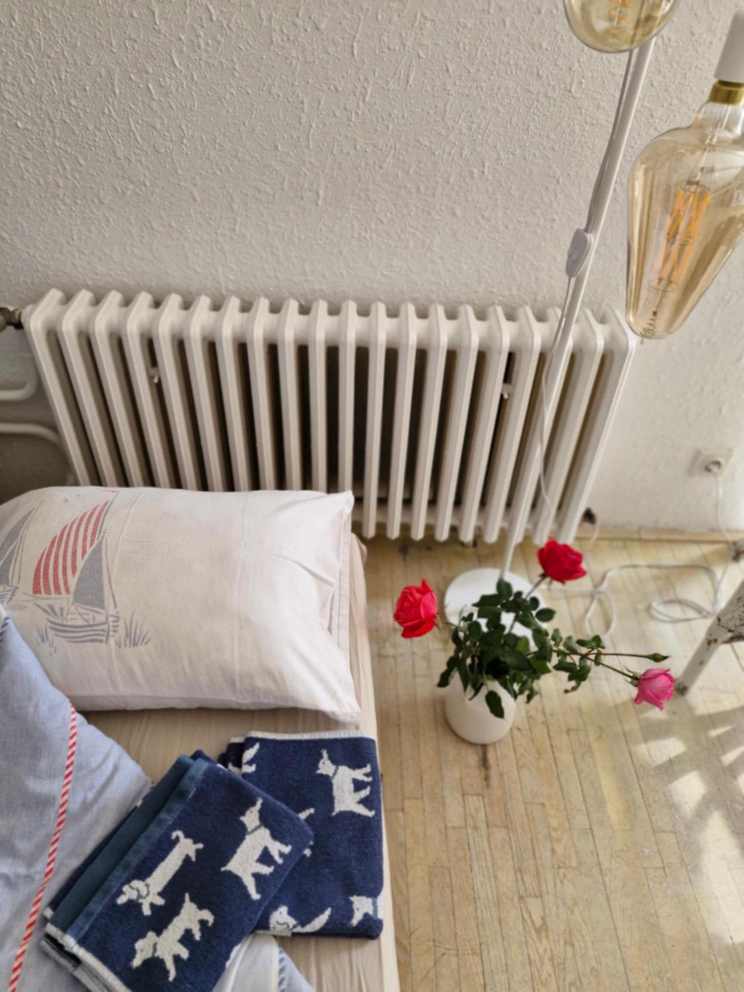Deki & Kolet Apartment Belgrade Luaran gambar